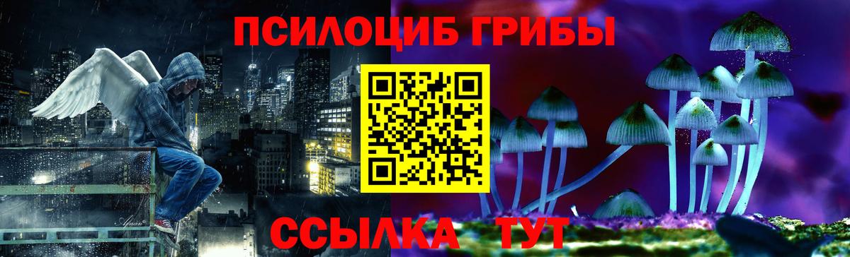 Златоуст  Галлюциногенные грибы Psilocybine cubensis  Вход с VPN 